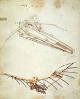 Leonardo's flying machine