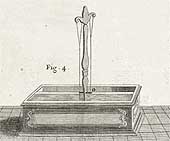 17b.jpg (8506 byte)